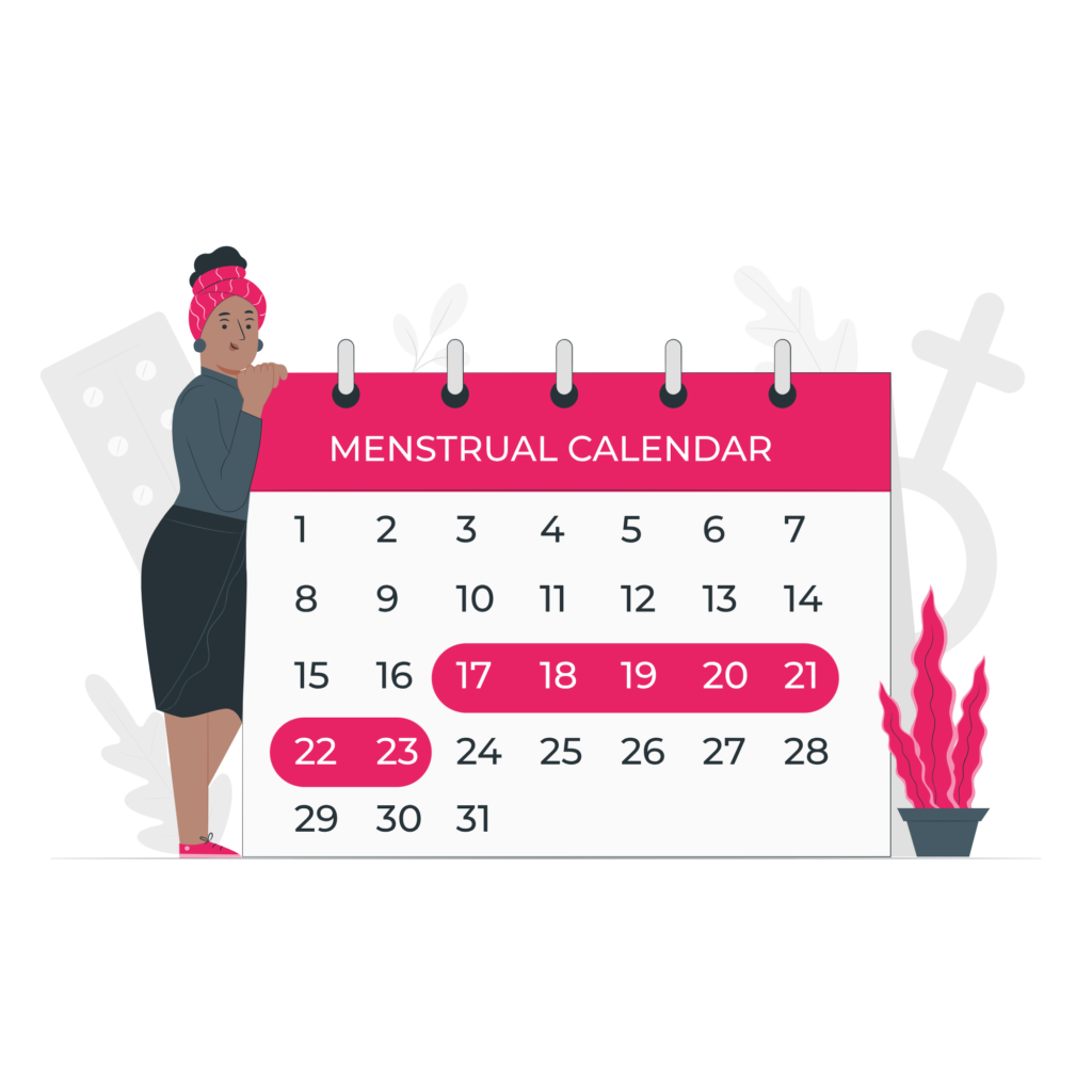 Ciclo menstrual e ovulação: entenda como funciona cada fase do corpo feminino